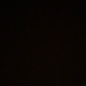 Meet your Posher, Evie